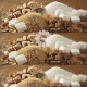 Imagine 5 Buc LA ALEGERE - Pasta de Zahar 500ml - Depilflax