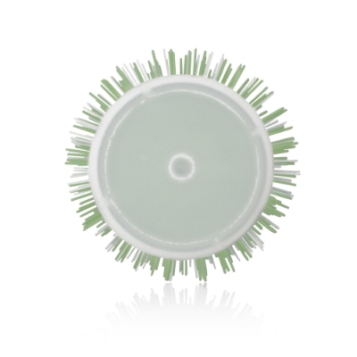 Ceramic-Ion Perie 43mm Ceramic-Ion Perie 43mm