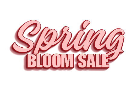Imagine pentru categorie Spring Bloom Sales 🌷